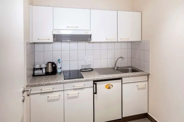 Standard Oda, 1 Çift Kişilik Yatak, Küçük Mutfak (Converts to 2 Twin Beds;with Sofabed)