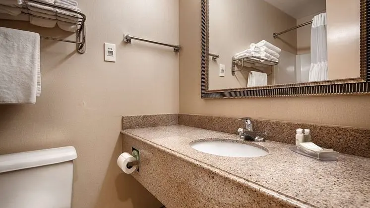 Standard Oda, 1 En Büyük (King) Boy Yatak, Engellilere Uygun, Sigara İçilmez (Walk-in Shower)