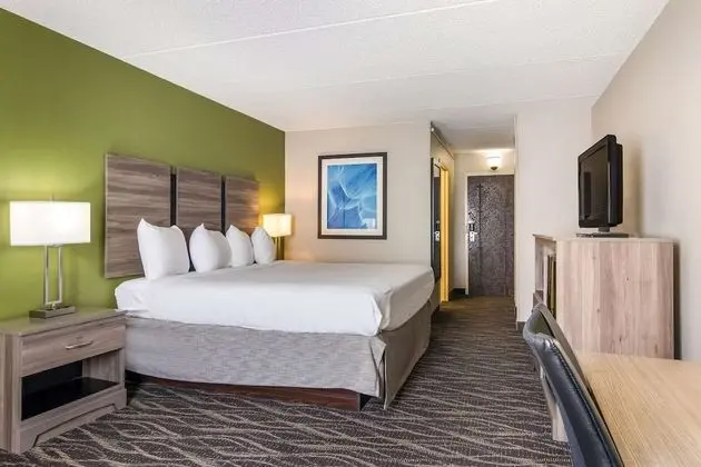 Standard Oda, 1 En Büyük (King) Boy Yatak, Sigara İçilmez, Buzdolabı ve Mikrodalga