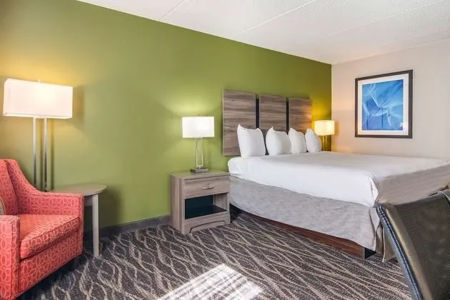 Standard Oda, 1 En Büyük (King) Boy Yatak, Sigara İçilmez, Buzdolabı ve Mikrodalga