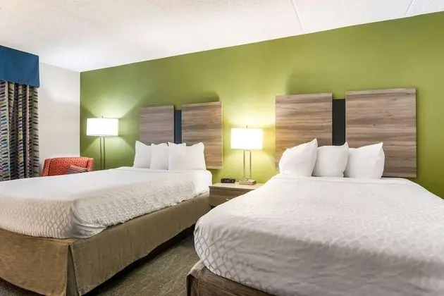 Standard Oda, 2 Çift Kişilik Yatak, Sigara İçilmez, Buzdolabı ve Mikrodalga (Pet Friendly)