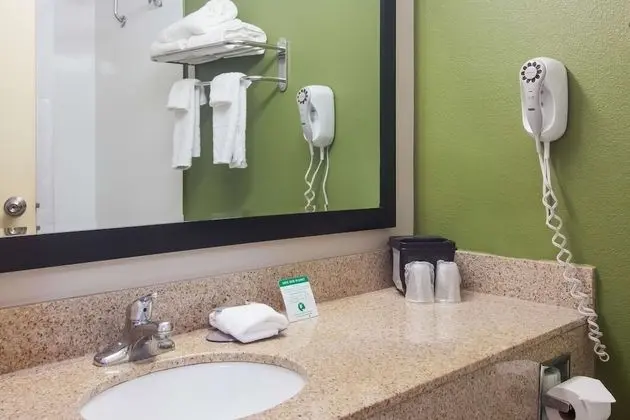 Standard Oda, 2 Çift Kişilik Yatak, Sigara İçilmez, Buzdolabı ve Mikrodalga (Pet Friendly)