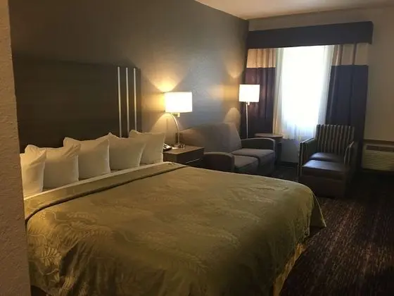 Süit, 1 En Büyük (King) Boy Yatak, Sigara İçilmez, Mikrodalga (Oversized Room)