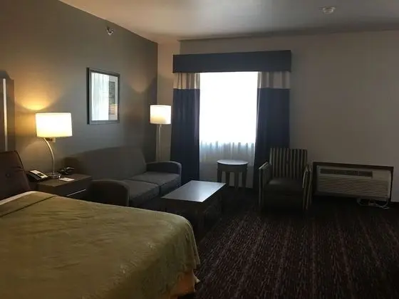 Süit, 1 En Büyük (King) Boy Yatak, Sigara İçilmez, Mikrodalga (Oversized Room)