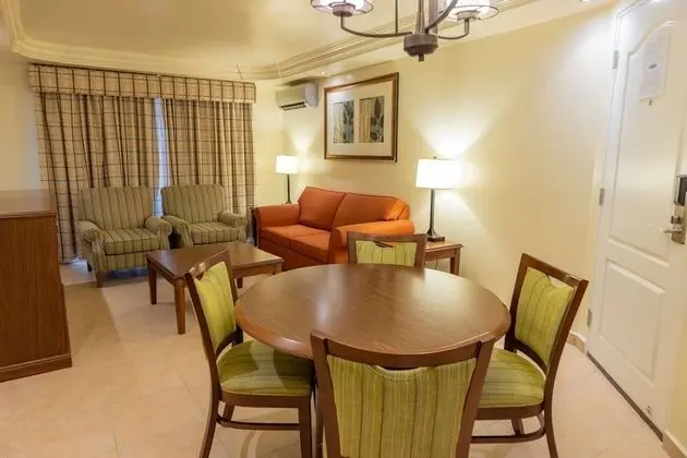 Süit, 1 En Büyük (King) Boy Yatak, Sigara İçilmez, Mikrodalga (Living Room;with Sofabed)