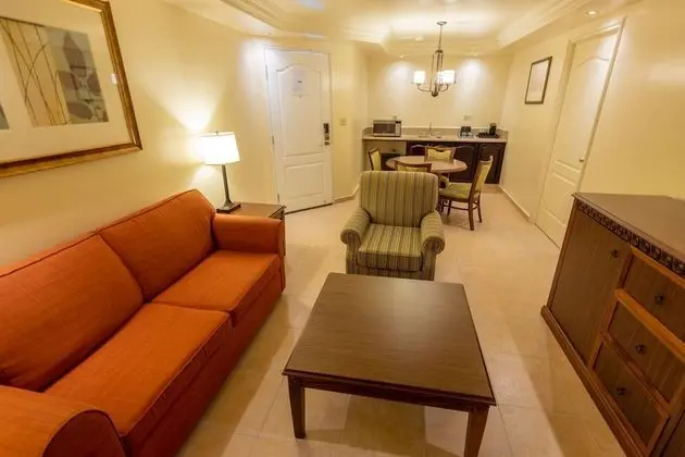 Süit, 1 En Büyük (King) Boy Yatak, Sigara İçilmez, Mikrodalga (Living Room;with Sofabed)