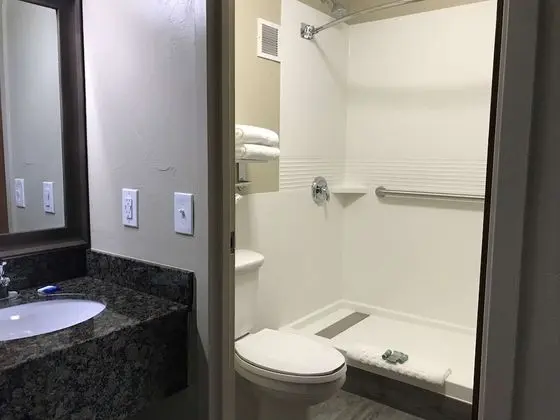 Standard Oda, 1 En Büyük (King) Boy Yatak, Sigara İçilmez, Buzdolabı ve Mikrodalga (Walk-in Shower)