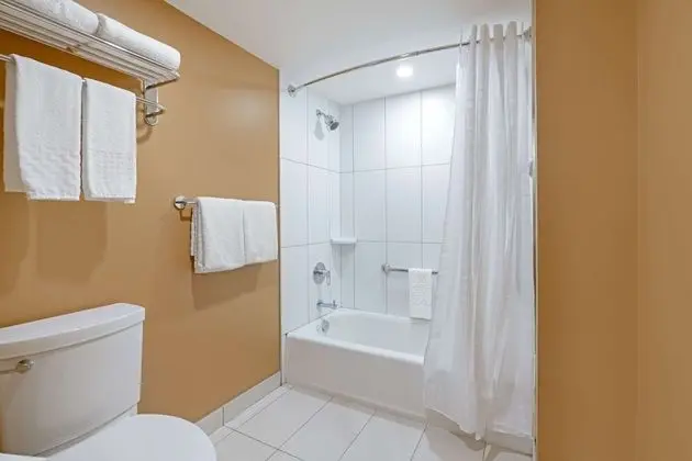 Standard Oda, 1 En Büyük (King) Boy Yatak, Sigara İçilmez, Buzdolabı ve Mikrodalga