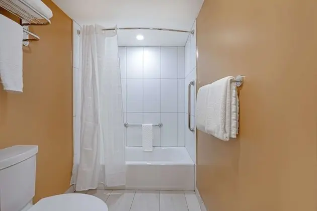Süit, Birden Çok Yatak, Sigara İçilmez, Buzdolabı ve Mikrodalga (with Sofabed)