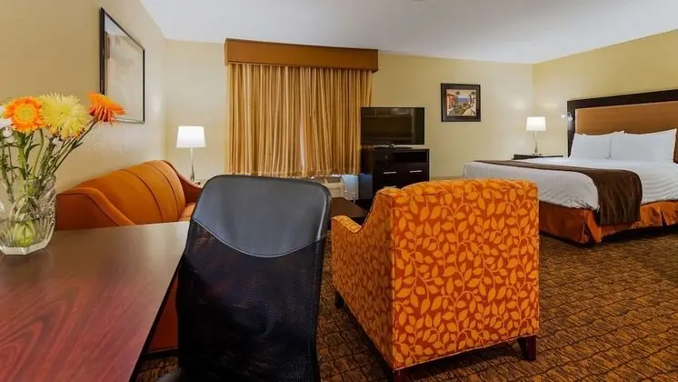Standard Oda, 1 En Büyük (King) Boy Yatak, Sigara İçilmez (Oversized Room;with Sofabed)