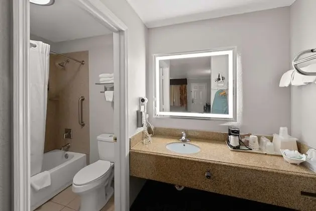 Standard Oda, 1 En Büyük (King) Boy Yatak, Engellilere Uygun, Sigara İçilmez (Bathtub)