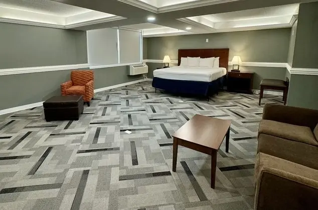 Standard Oda, 1 En Büyük (King) Boy Yatak, Sigara İçilmez, Buzdolabı ve Mikrodalga (Larger Room)