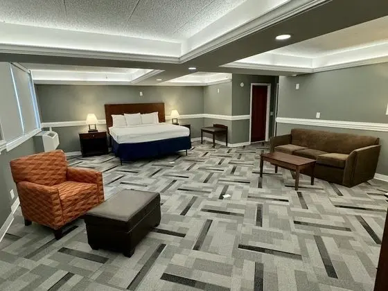 Standard Oda, 1 En Büyük (King) Boy Yatak, Sigara İçilmez, Buzdolabı ve Mikrodalga (Larger Room)