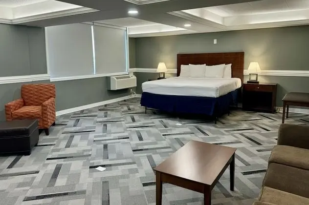 Standard Oda, 1 En Büyük (King) Boy Yatak, Sigara İçilmez, Buzdolabı ve Mikrodalga (Larger Room)