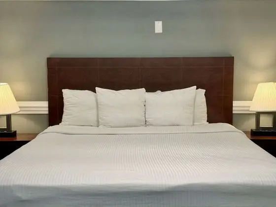 Standard Oda, 1 En Büyük (King) Boy Yatak, Sigara İçilmez, Buzdolabı ve Mikrodalga (Larger Room)