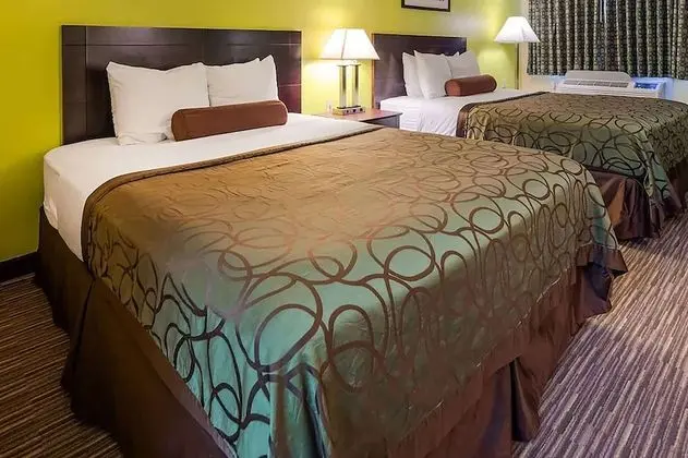 Oda, 2 Büyük (Queen) Boy Yatak, Engellilere Uygun, Sigara İçilmez (Mobility, Roll-in Shower)