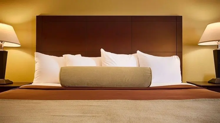 Standard Oda, 1 En Büyük (King) Boy Yatak, Engellilere Uygun, Sigara İçilmez (Walk-in Shower)