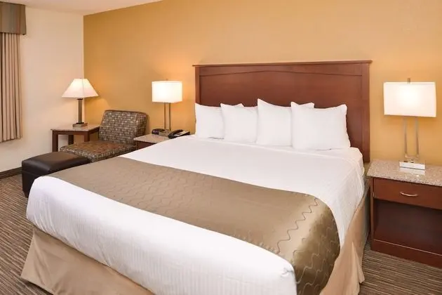 Standard Oda, 1 En Büyük (King) Boy Yatak, Sigara İçilmez (Shower Only;Pet Friendly;Small Room)