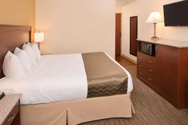 Standard Oda, 1 En Büyük (King) Boy Yatak, Sigara İçilmez (Shower Only;Pet Friendly;Small Room)