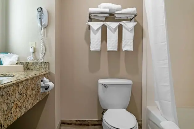Süit, 1 En Büyük (King) Boy Yatak, Sigara İçilmez, Buzdolabı ve Mikrodalga (with Single Sofabed)