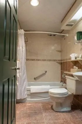 Standard Oda, 1 Çift Kişilik Yatak, Sigara İçilmez, Şömine