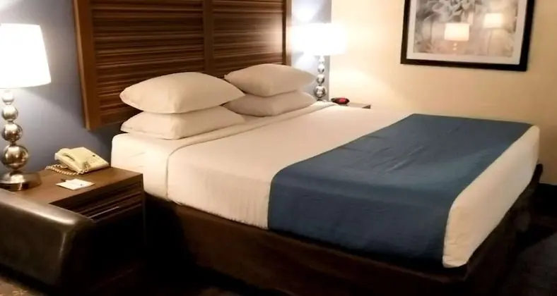 Standard Oda, 1 En Büyük (King) Boy Yatak, Sigara İçilmez (Larger Room;with Sofabed)