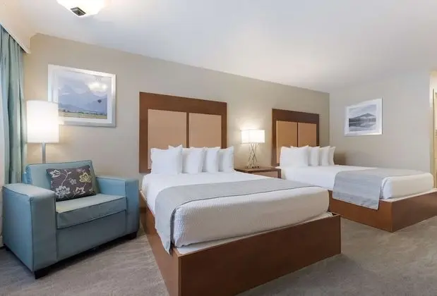 Standard Oda, 2 Büyük (Queen) Boy Yatak, Sigara İçilmez, Mikrodalga (Pet Friendly)