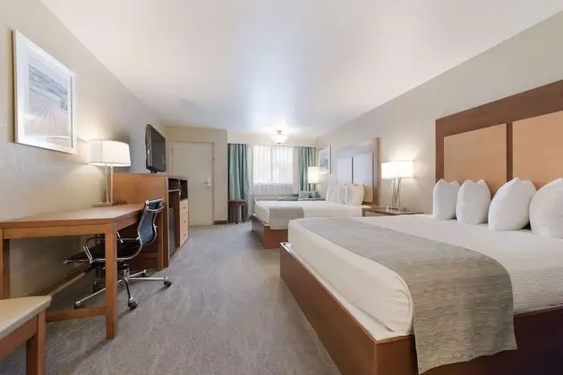 Standard Oda, 2 Büyük (Queen) Boy Yatak, Sigara İçilmez, Mikrodalga (Pet Friendly)