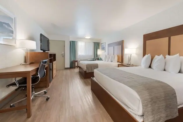 Standard Oda, 2 Büyük (Queen) Boy Yatak, Sigara İçilmez, Mikrodalga (Pet Friendly)