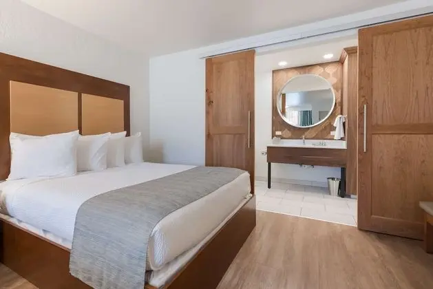 Standard Oda, 2 Büyük (Queen) Boy Yatak, Sigara İçilmez, Mikrodalga (Pet Friendly)