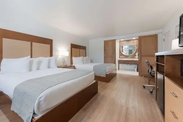 Standard Oda, 2 Büyük (Queen) Boy Yatak, Sigara İçilmez, Mikrodalga (Pet Friendly)