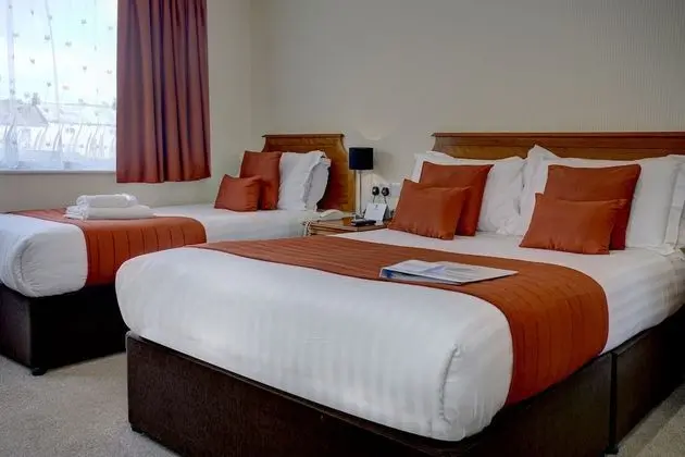 Standard Oda, Birden Çok Yatak, Sigara İçilmez (Pet Friendly)