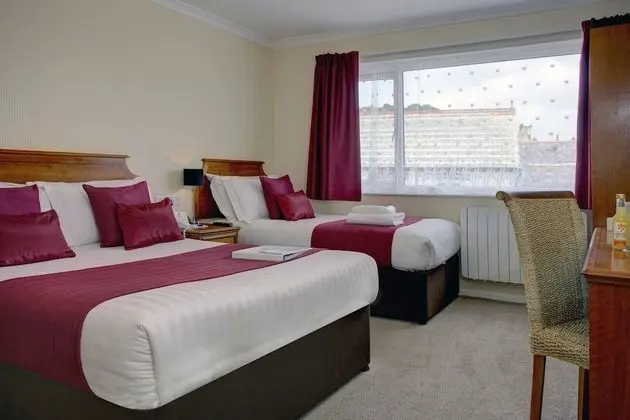 Standard Oda, Birden Çok Yatak, Sigara İçilmez (Pet Friendly)