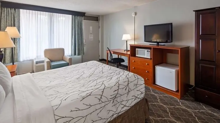 Standard Oda, 1 Büyük (Queen) Boy Yatak, Engellilere Uygun (Walk-in Shower;Pet Friendly)