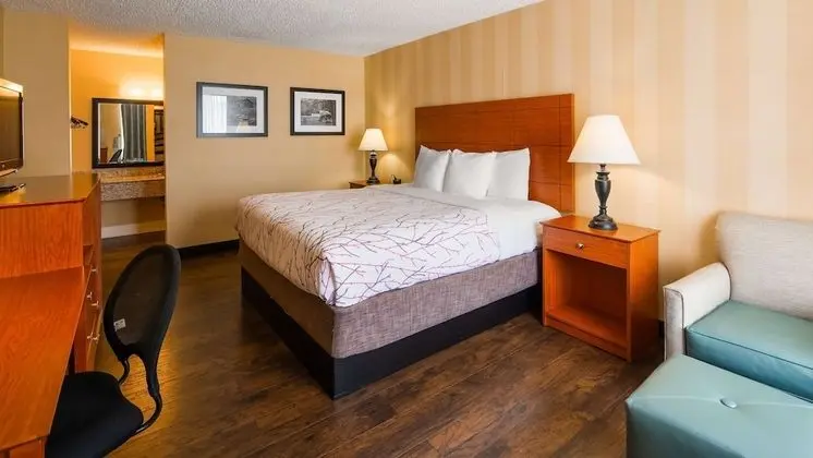 Standard Oda, 1 Büyük (Queen) Boy Yatak, Engellilere Uygun (Walk-in Shower;Pet Friendly)
