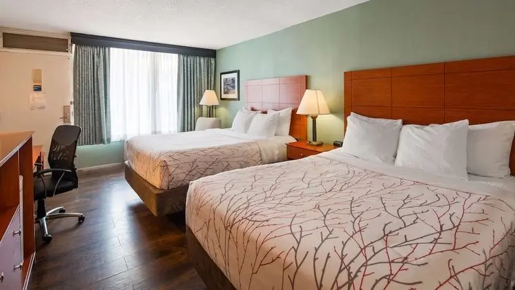 Standard Oda, 2 Büyük (Queen) Boy Yatak, Sigara İçilmez, Buzdolabı ve Mikrodalga (Pet Friendly)