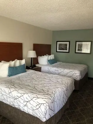 Standard Oda, 2 Büyük (Queen) Boy Yatak, Sigara İçilmez, Buzdolabı ve Mikrodalga (Pet Friendly)