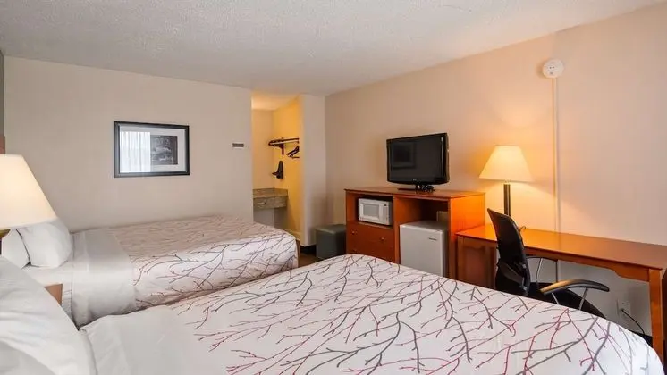 Standard Oda, 2 Büyük (Queen) Boy Yatak, Sigara İçilmez, Buzdolabı ve Mikrodalga (Pet Friendly)