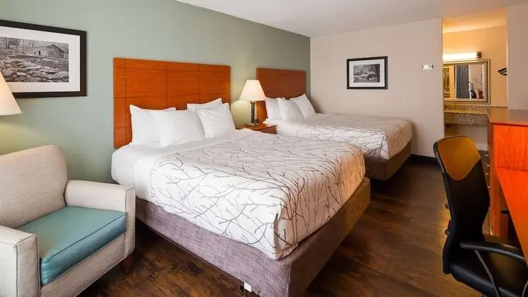 Standard Oda, 2 Büyük (Queen) Boy Yatak, Sigara İçilmez, Buzdolabı ve Mikrodalga (Pet Friendly)