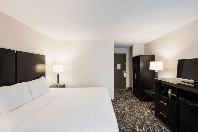 King Room. One King Bed