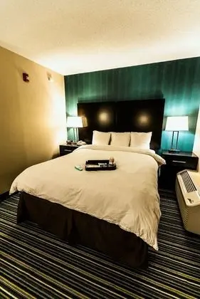 King Room. One King Bed