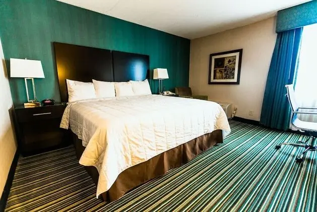 King Room. One King Bed