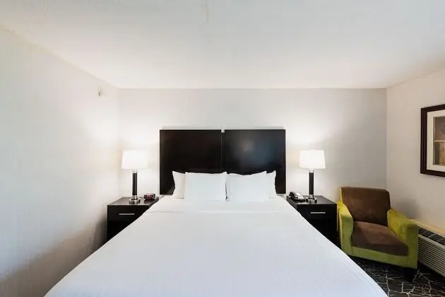 King Room. One King Bed