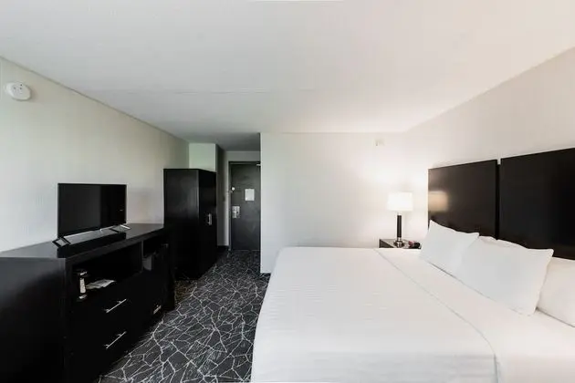 King Room. One King Bed