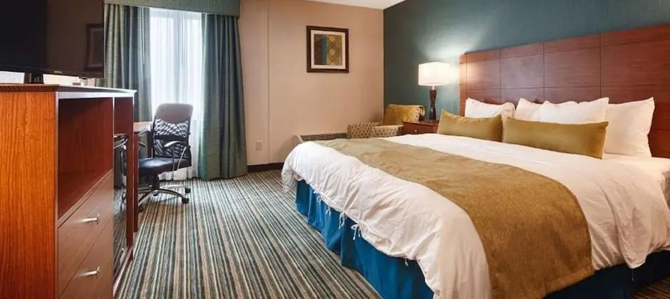 King Room. One King Bed