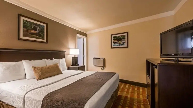 Standard Oda, 1 En Büyük (King) Boy Yatak, Engellilere Uygun, Buzdolabı ve Mikrodalga