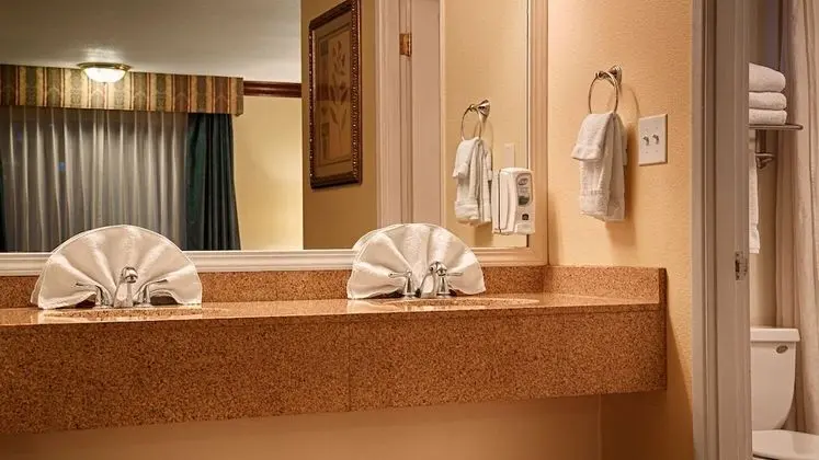 Süit, 1 En Büyük (King) Boy Yatak, Sigara İçilmez, Mutfak (Living Room;with Sofabed)