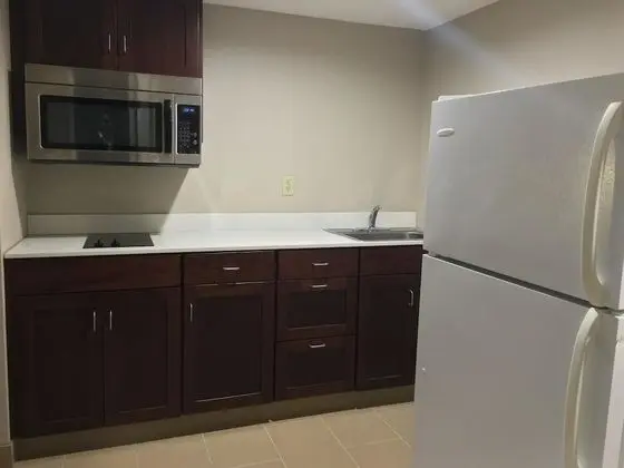 Süit, 1 En Büyük (King) Boy Yatak ve Çekyat, Sigara İçilmez, Küçük Mutfak (with Sofabed)