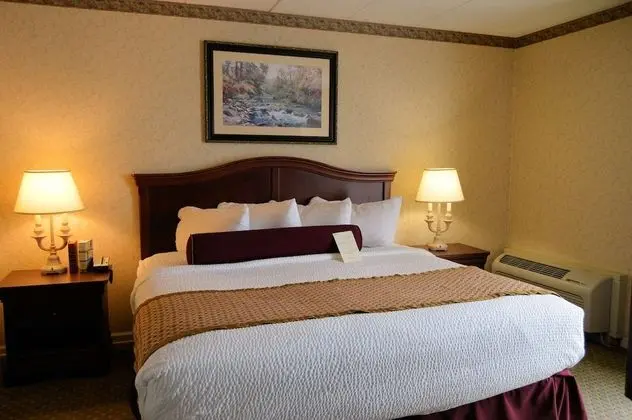 Standard Oda, 1 En Büyük (King) Boy Yatak, Sigara İçilmez, Buzdolabı ve Mikrodalga