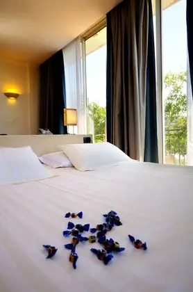 Deluxe Oda, 1 En Büyük (King) Boy Yatak